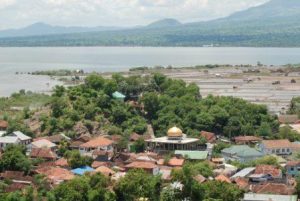 Harga Jual DOD atau Bibit Bebek Peking & Hibrida Pedaging untuk Daerah Bima Nusa Tenggara Barat
