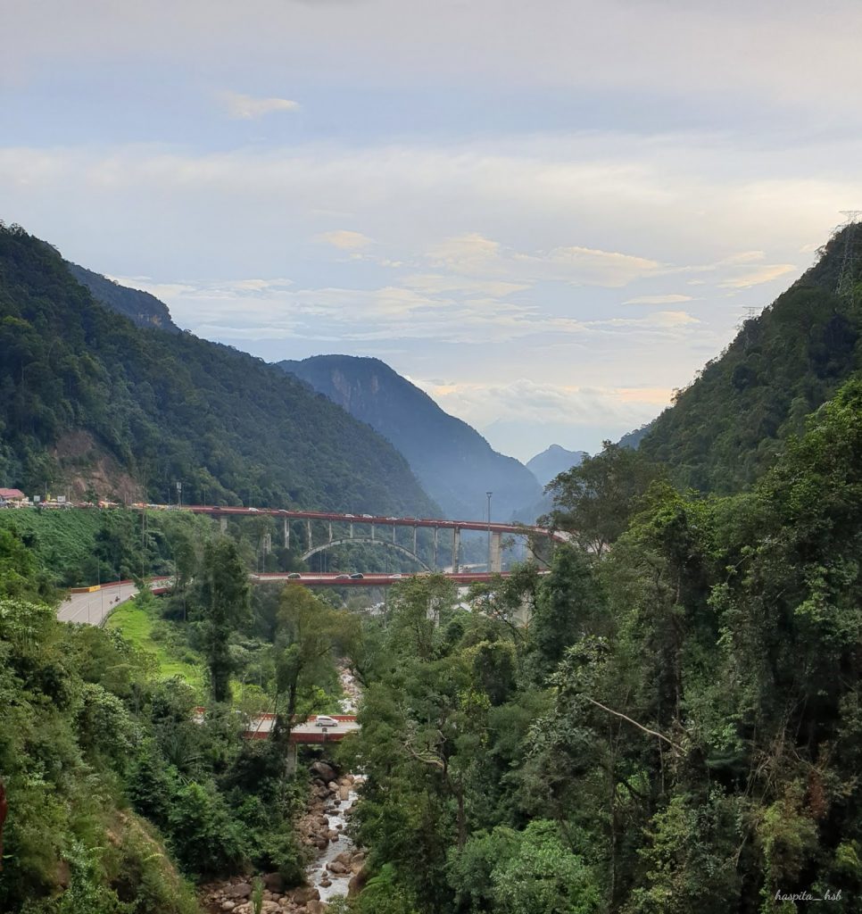 Harga DOD Bebek Peking & Hibrida Pedaging Untuk Daerah Payakumbuh