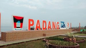 Harga Jual DOD atau Bibit Bebek Peking & Hibrida Pedaging untuk Daerah Padang