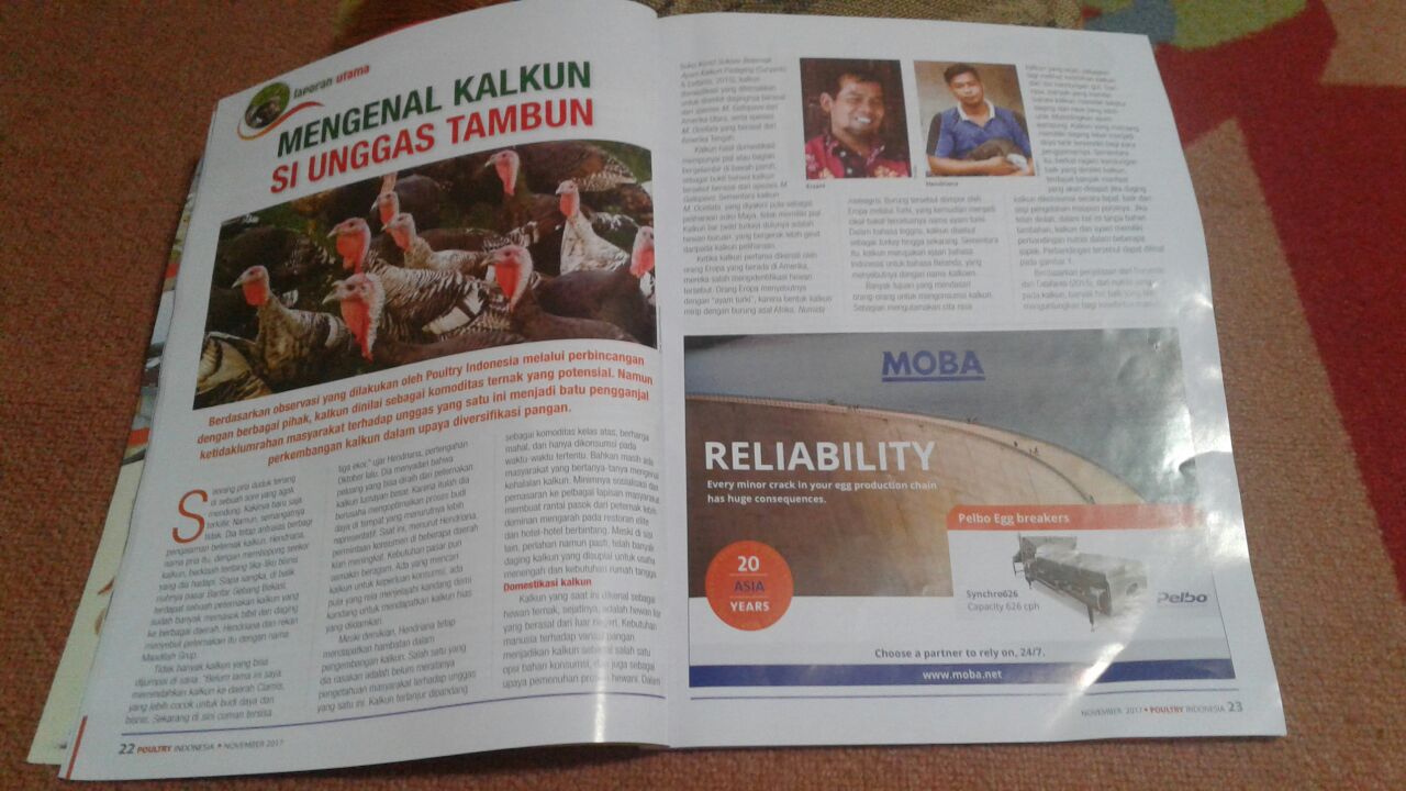 hobiternak.com Mendapat Kesempatan untuk di Liput oleh  Majalah Poultry Indonesia dalam Mengenal Kalkun si Unggas Tambun