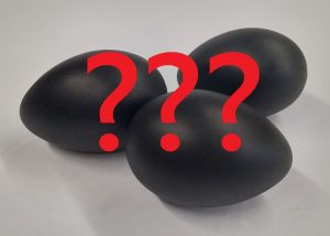 black chicken eggs