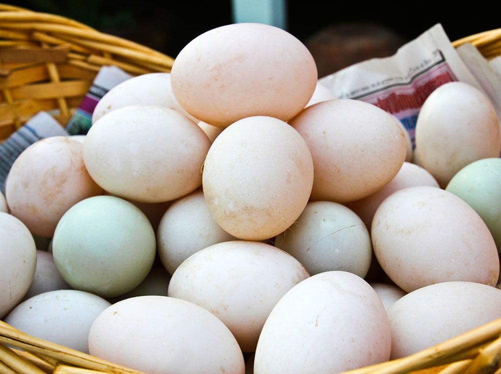 Telur bebek peking memiliki warna telur yang cenderung putih. Berbeda dengan telur bebek hibrida/ bebek mojosari yang berwarna biru kehijauan | image 2