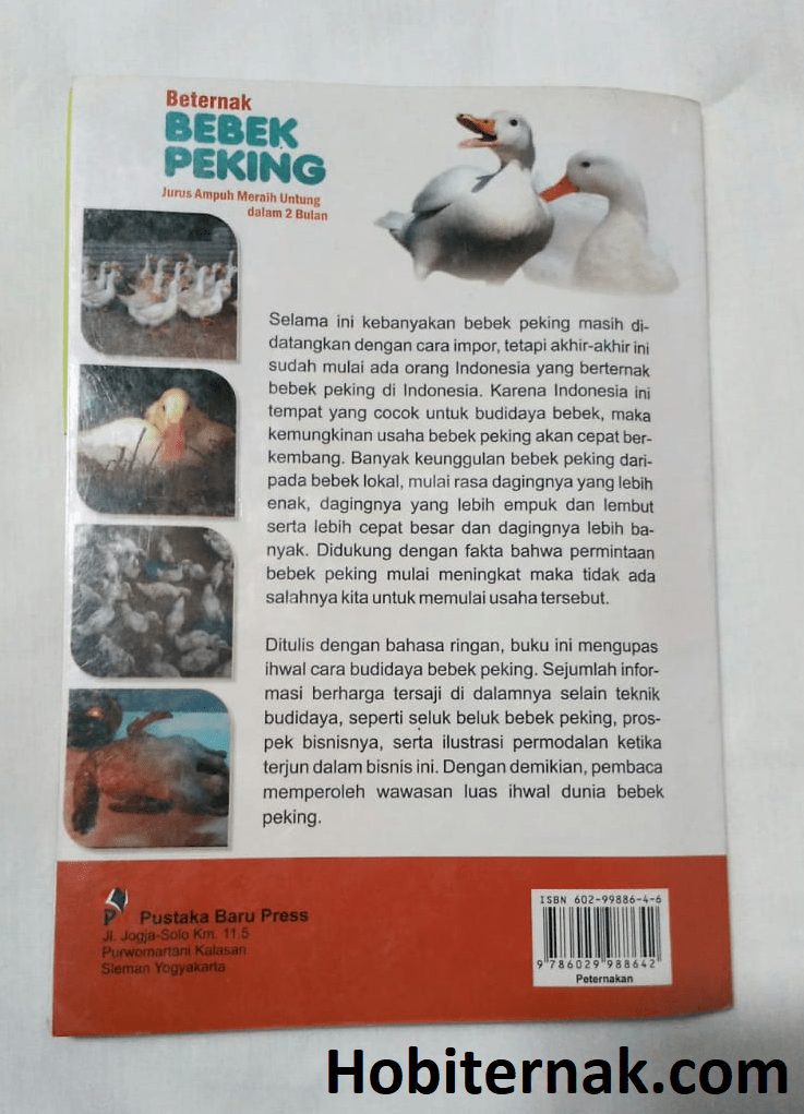 Buku Beternak Bebek Peking (Jurus Ampuh Meraih Untung dalam 2 Bulan) 