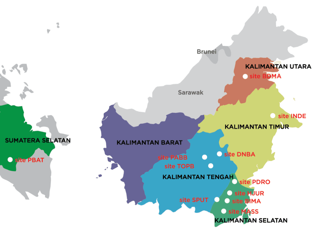 Daftar Harga DOC Ayam Petelur untuk Pulau Kalimantan