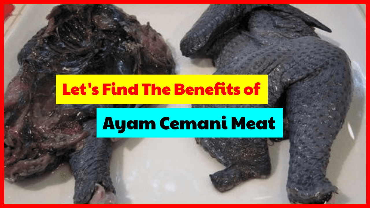 Let's find out the benefits of consuming cemani chicken meat