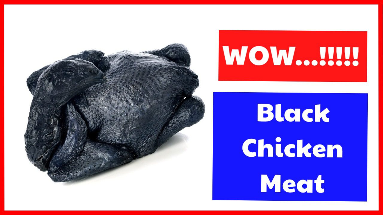 Black Chicken Meat - The Delicious Meat Which Is Very Difficult To Find