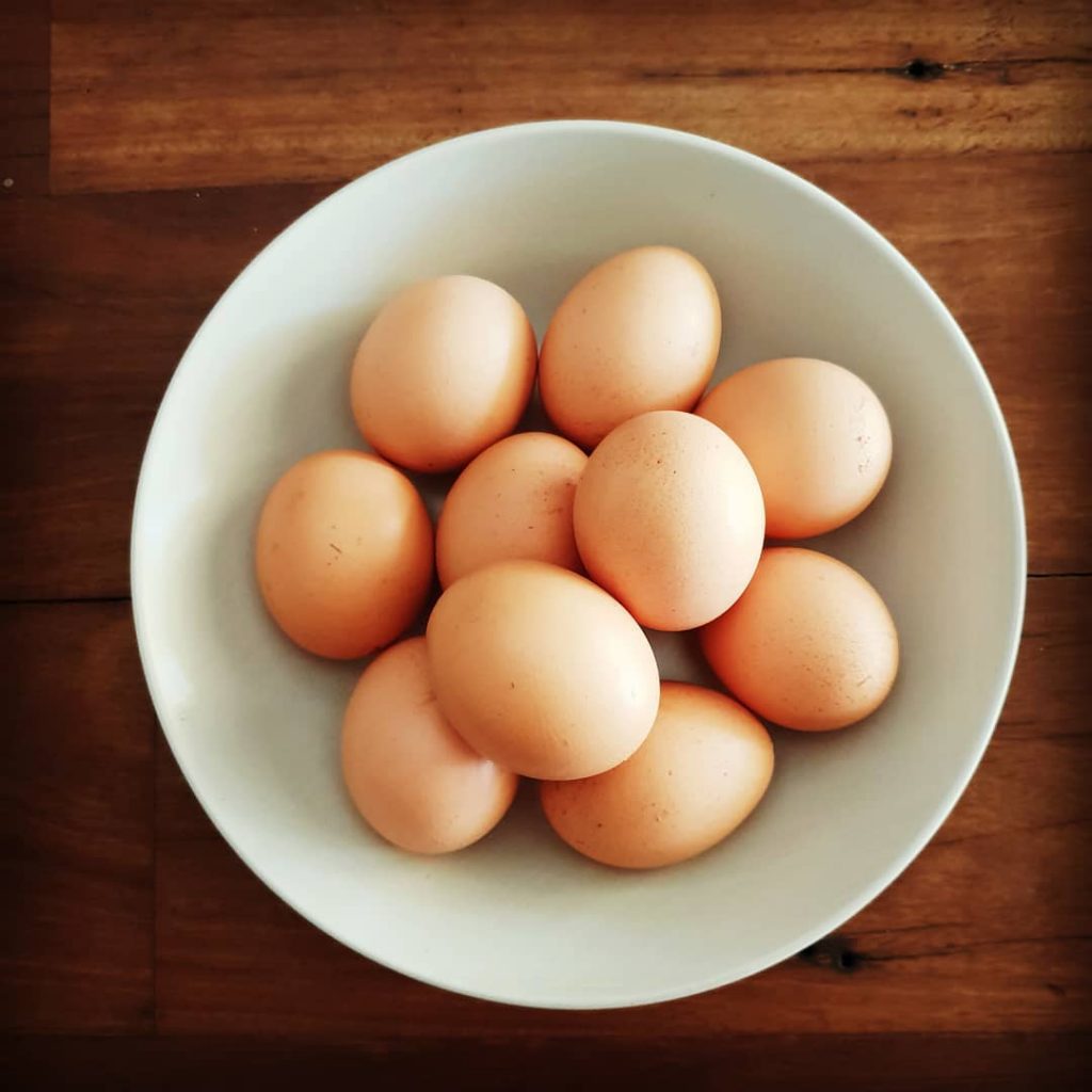 Telur Ayam Petelur