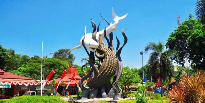 Harga Jual DOC atau Bibit Ayam JOPER di Surabaya