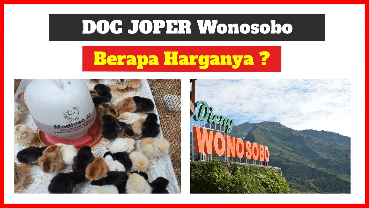 harga doc joper wonosobo