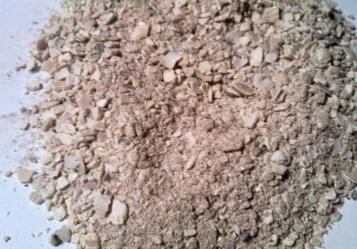 Tepung Keong menjadi salah satu bahan pakan alternatif yang dapat diberikan untuk bebek petelur | image 4