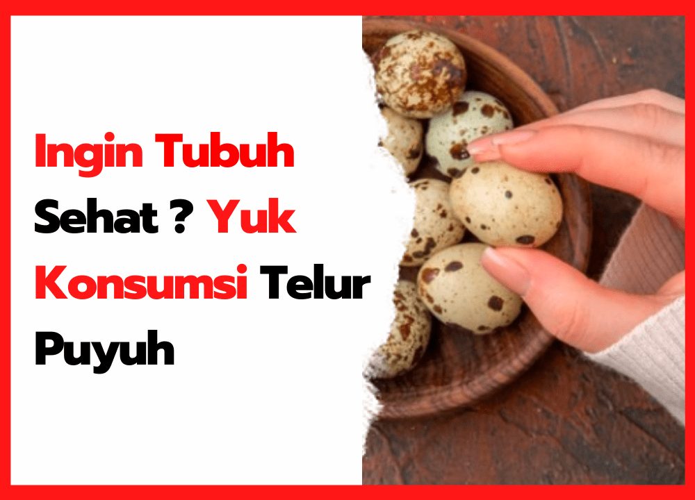 Ingin Tubuh Sehat Yuk Konsumsi Telur Puyuh | cover