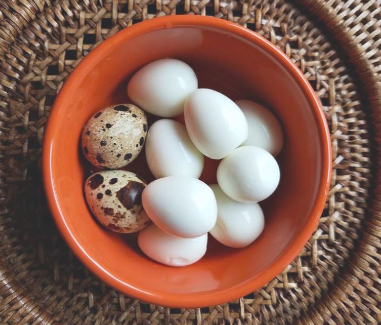 Protein yang banyak dari telur burung puyuh ternyata juga mempu untuk membentuk sel - sel tubuh manusia. | image 3