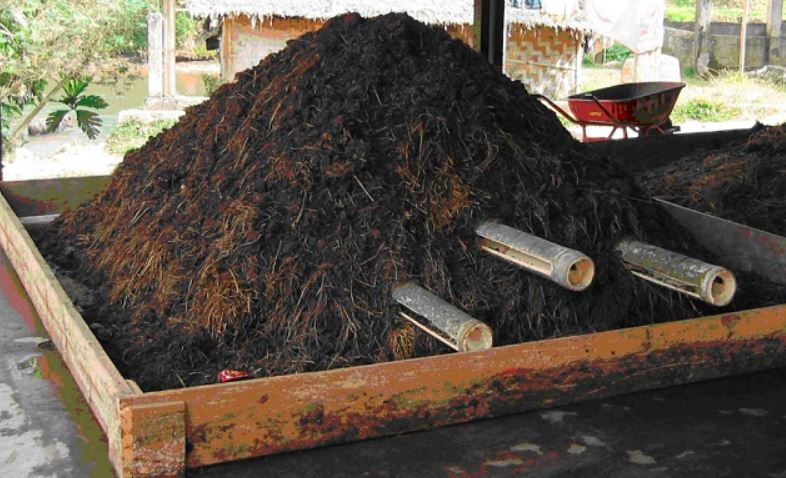 Untuk mengurangi bau kotoran bebek, peternak juga dapat langsung mengubur kotoran tersebut ke dalam tanah | image 6