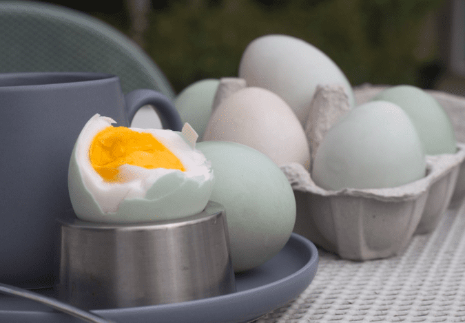 Pengolahan telur bebek yang dijadikan menjadi telur asin daya serap pasarnya cukup tinggi | Image 3