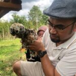 Hobiternak.com mengirimkan ayam poland ke Kalimantan Selatan, pengiriman diterima dengan aman dan selamat.