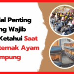 7-Hal-Penting-yang-Wajib-di-Ketahui-Saat-Beternak-Ayam-Kampung-2