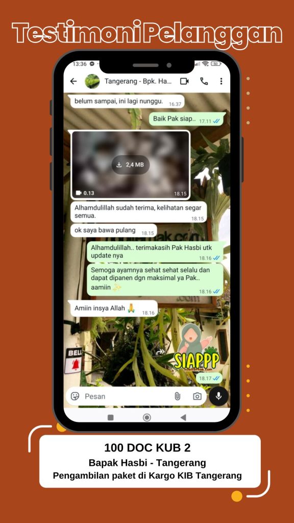 Testimoni DOC KUB Bapak Hasbi Tangerang