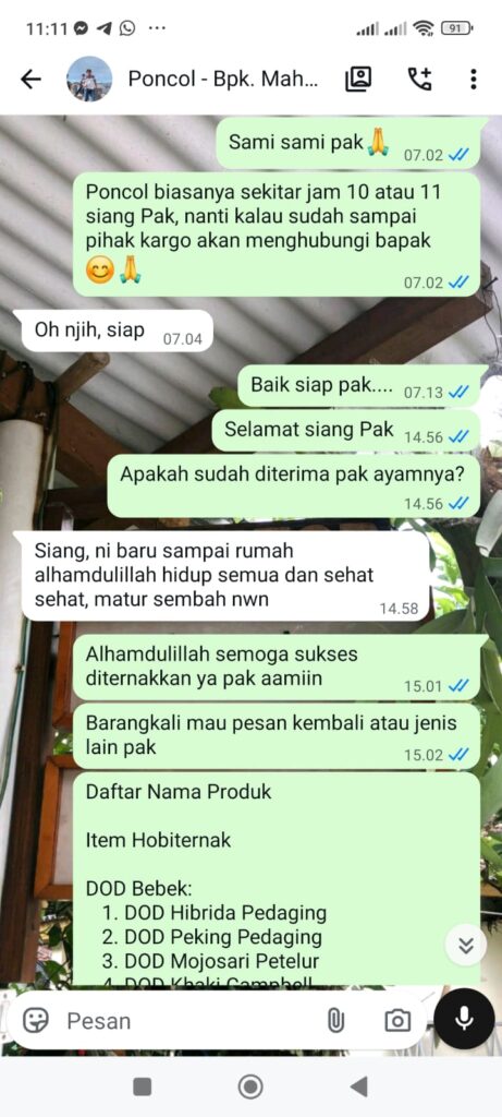 Testimoni pesanan ayam kub 1 bok Bapak Mahmudi di Semarang