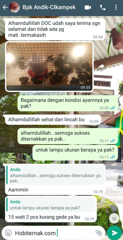 Bapak Andik Cikampek