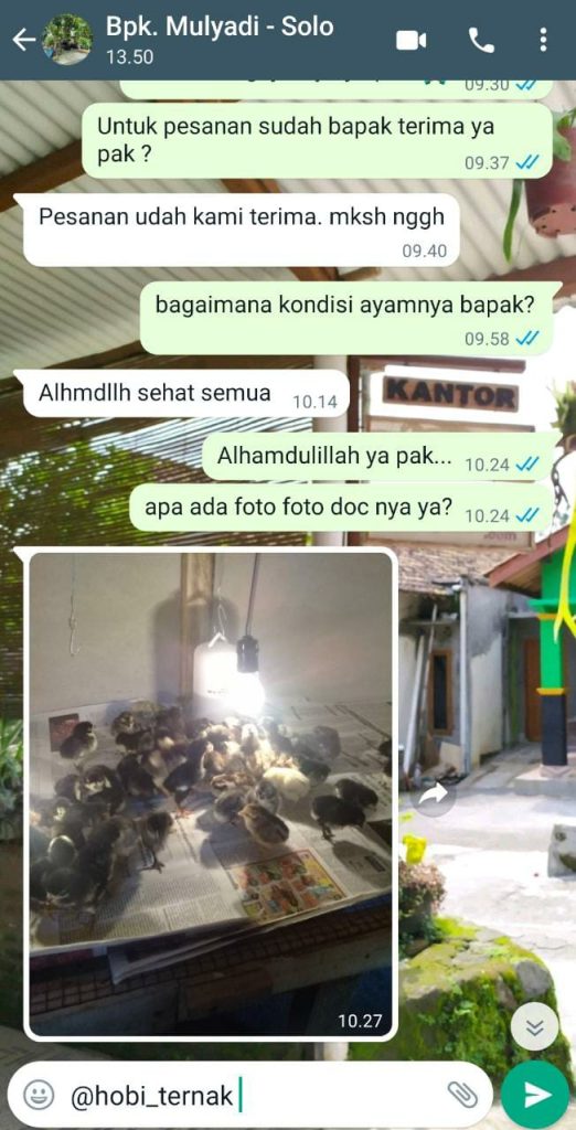Bapak Mulyadi Solo