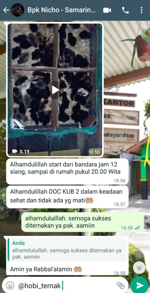 Bapak Nicho Samarinda