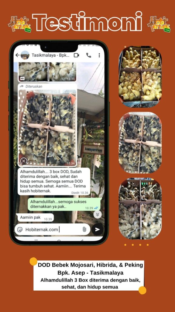 Bapak Asep -Tasikmalaya