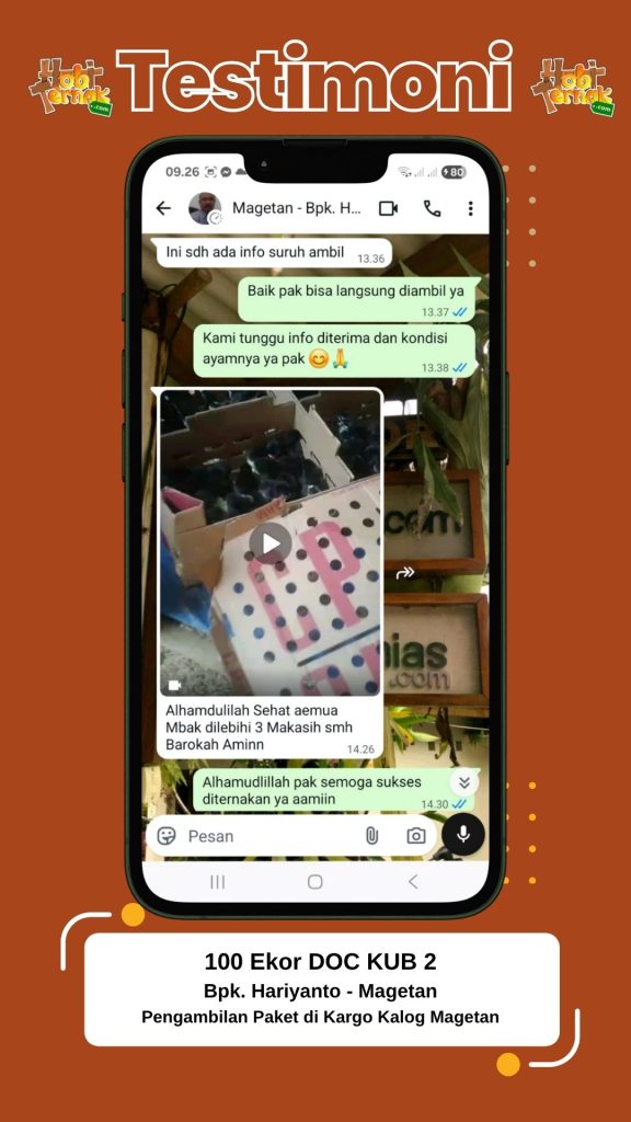 Testimoni pesanan ayam kub 1 bok Bapak Hariyanto di magetan