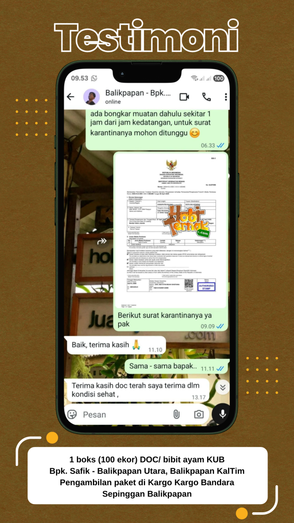 Testimoni - DOC KUB - Bapak Safik di Balikpapan Kalimantan Timur