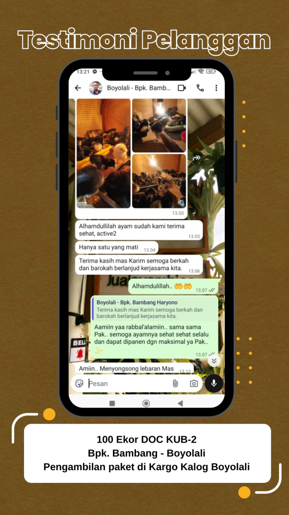 Testimoni DOC KUB Bapak Bambang Boyolali