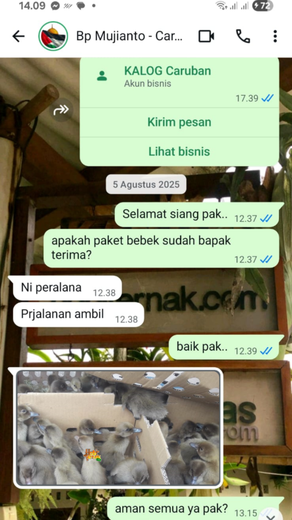 testimoni dod mojosari bpk Mujianto