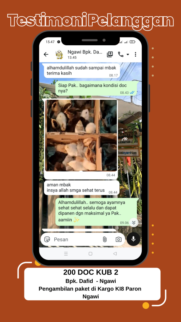 Testimoni DOC KUB Bapak Dafid di Ngawi