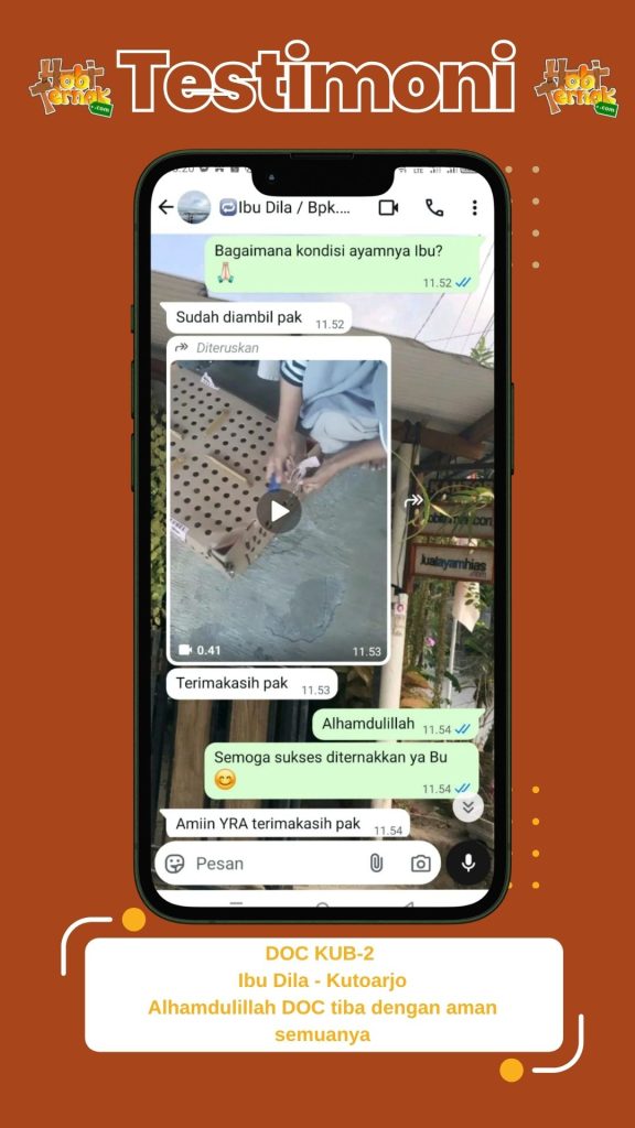 Ibu Dila Kutoarjo