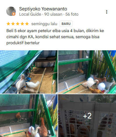 Testimoni di Google Maps Hobiternak oleh Bapak Septiyoko dari Cimahi, Jawa Barat.