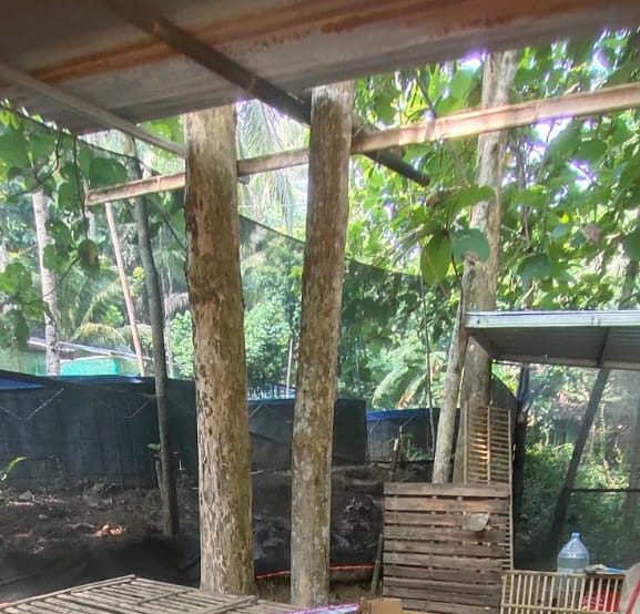 Contoh kandang menggunakan waring| Image 4