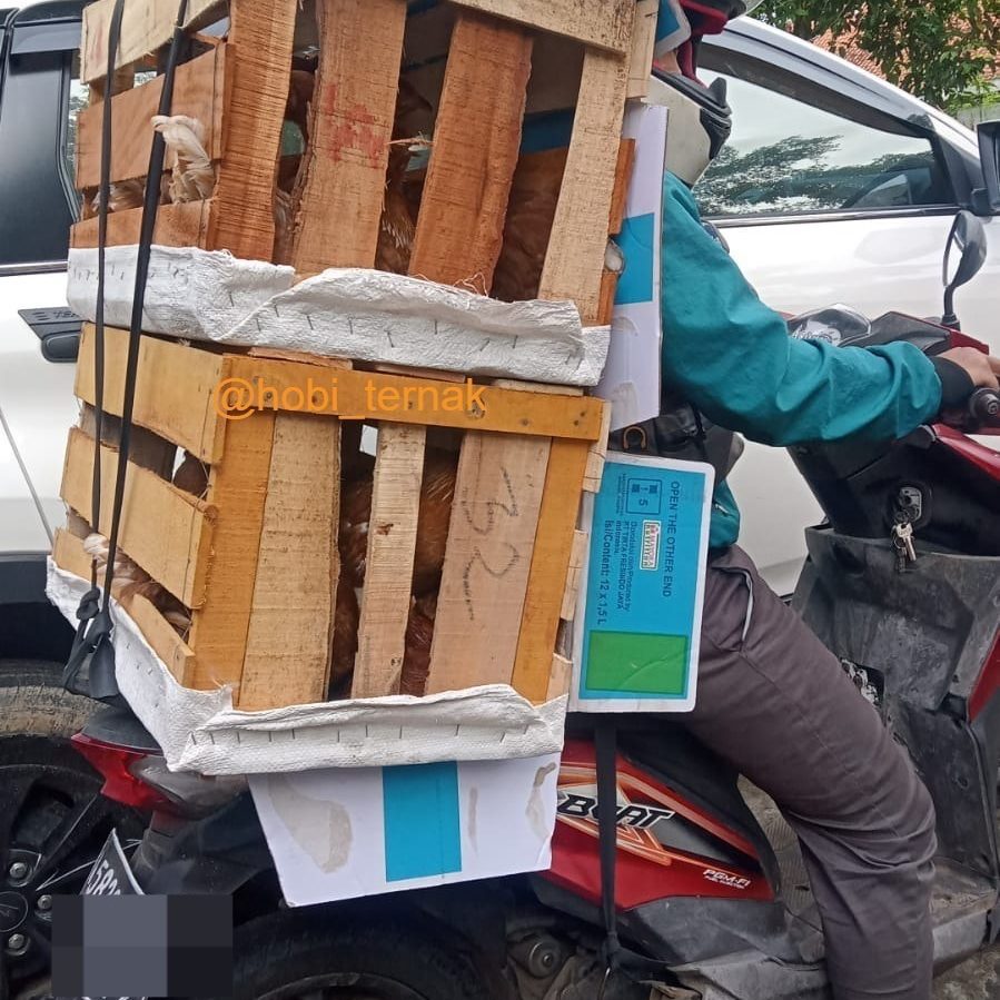 Paket peti ini bisa dibawa dengan motor yaa, jadi aman untuk Anda yang mengambilnya menggunakan motor|