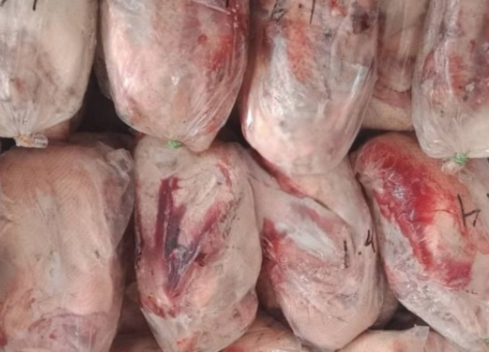 Jual Karkas Bebek Hibrida dan Peking di Surabaya dan Sidoarjo