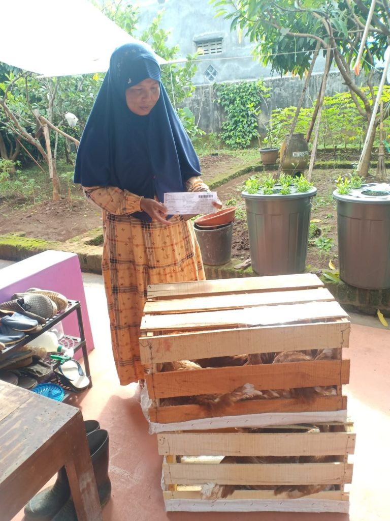 Paket pullet diterima oleh pelanggan Hobiternak, pengiriman dengan Kargo KI8