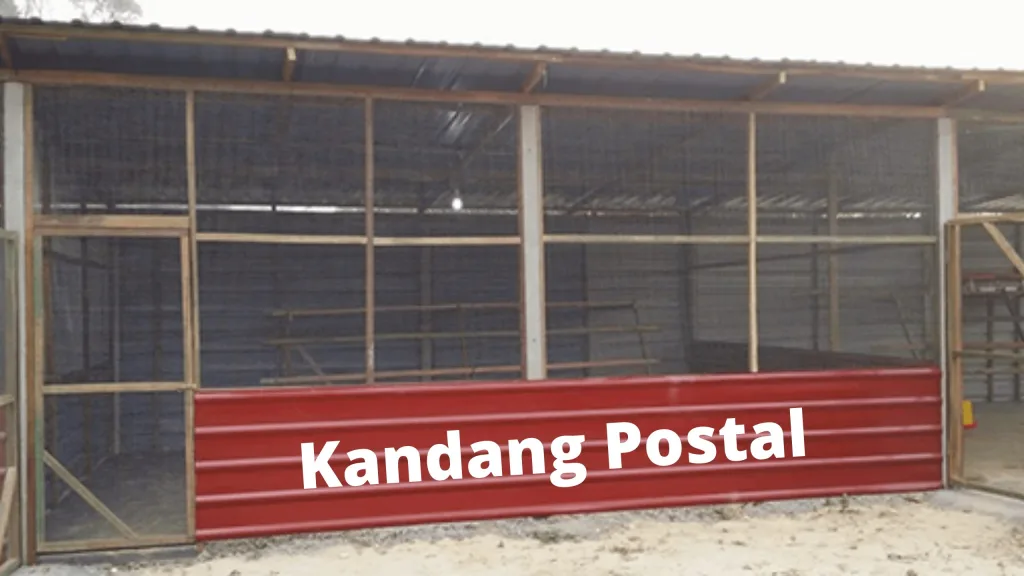 Kandang Ayam Kampung Super Sistem Postal