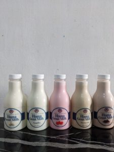 Segarnya susu kambing murni “Hana Goat Milk”! Tersedia yang murni atau varian rasa. Siap minum, sehat, dan nikmat!