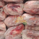 Terbaru!! Update Daftar Harga Karkas Bebek Pedaging Tahun 2025