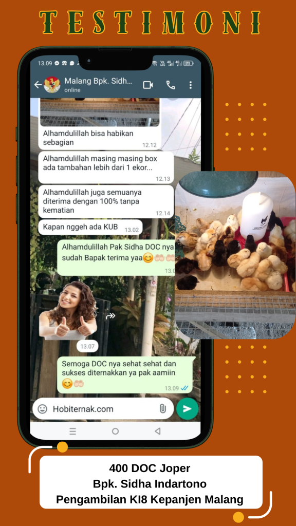 Bapak Sidha Malang