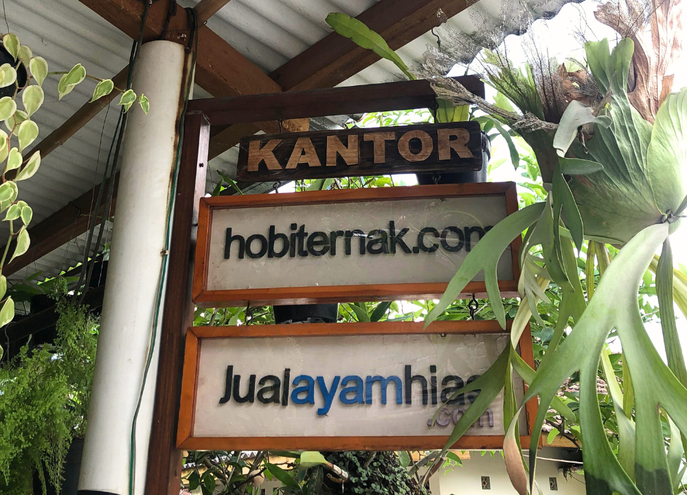 Apakah hobiternak.com Penipu? Ini Fakta, Alamat Resmi, dan Testimoni Asli Pelanggan Apakah hobiternak.com Penipu Ini Fakta, Alamat Resmi, dan Testimoni Asli Pelanggan