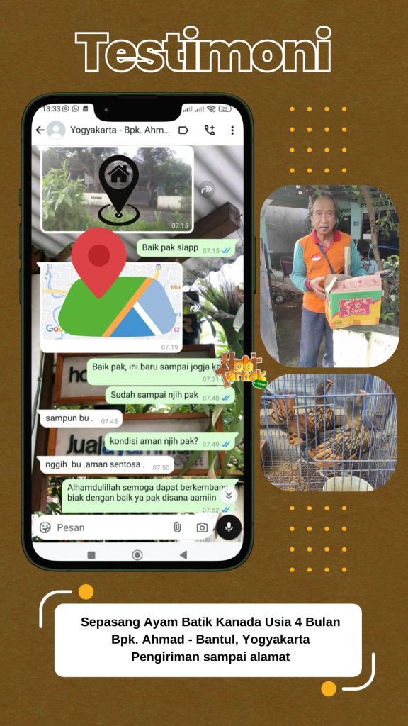Testimoni Bapak Ahmad - Yogyakarta - Batik Kanada