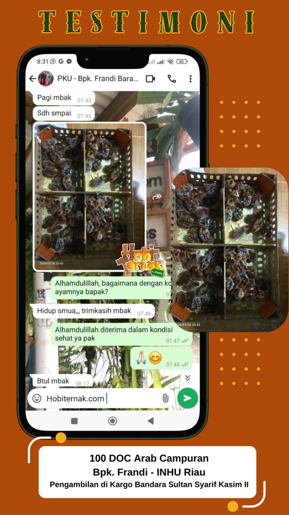 Testimoni Bpk. Frandi - Riau