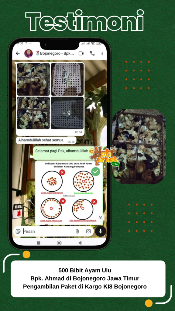 Testimoni - DOC ULU - Bpk. Ahmad - Bojonegoro Jawa Timur