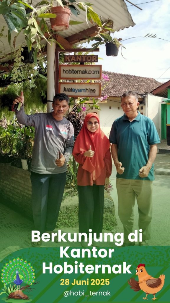 Kunjungan pelanggan ke kantor hobiternak.com