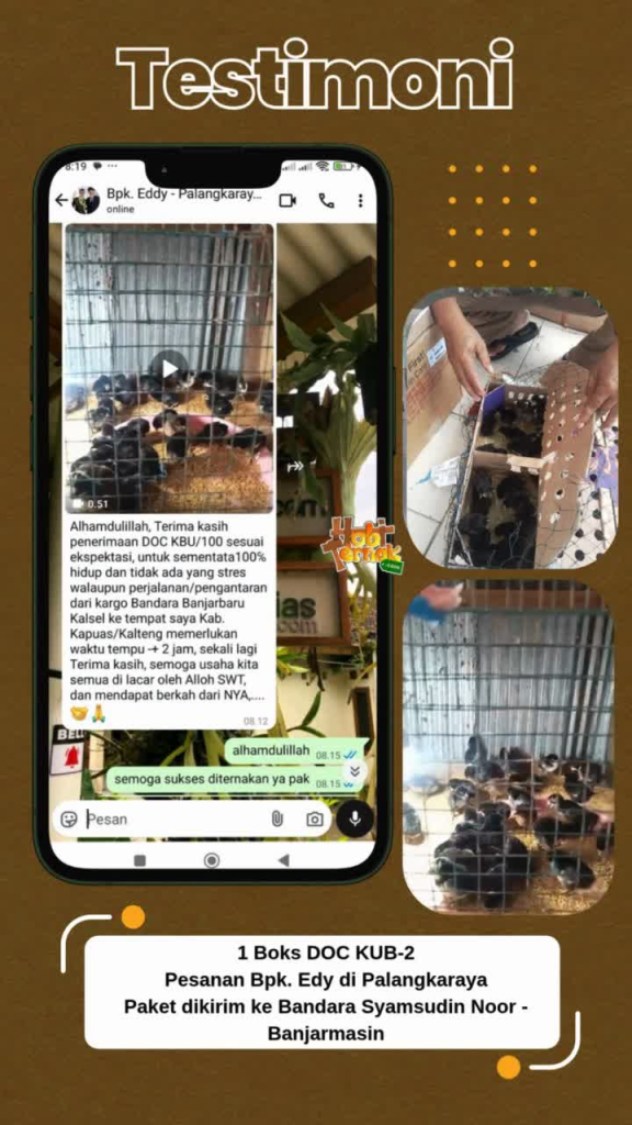Bapak Edy- DOC KUB-2 - Banjarmasin