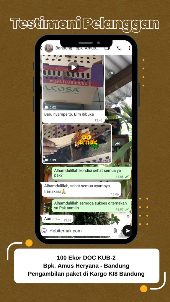 Testimoni pesanan ayam kub 1 bok Bapak Amus di Bandung