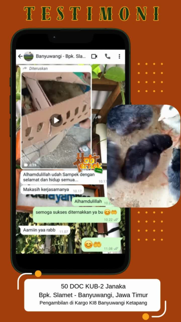 Testimoni Bpk. Slamet - Banyuwangi - DOC KUB