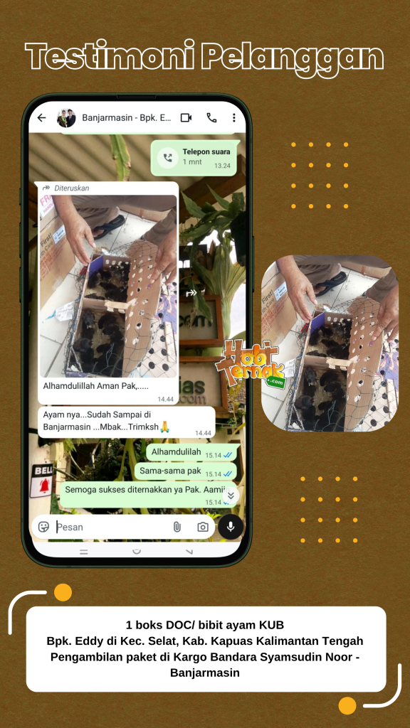 Testimoni - Pesanan DOC KUB - Bapak Eddy - Balikpapan Kalimantan Selatan